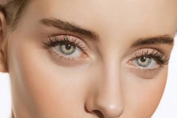 Regard mis en valeur : cils et sourcils, formation Lash & Brow